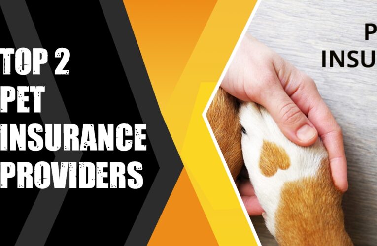 Top 4 Pet Insurance Providers in the USA